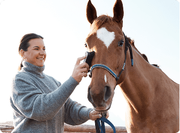 Woman brushing a horse's face outdoors.